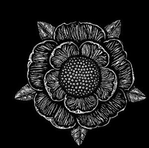 Meet your Posher, Americo